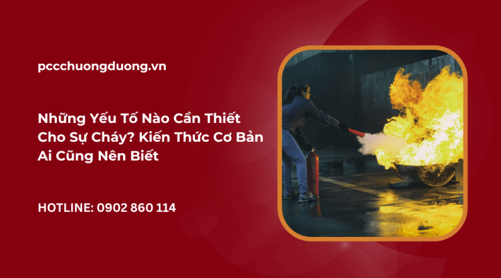 yếu tố cần thiết cho sự cháy